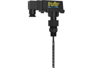 Реле потока ICON Truflo FES